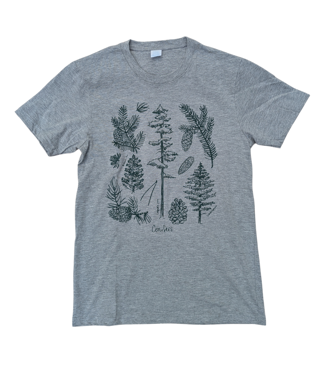 Conifers- Heather Grey